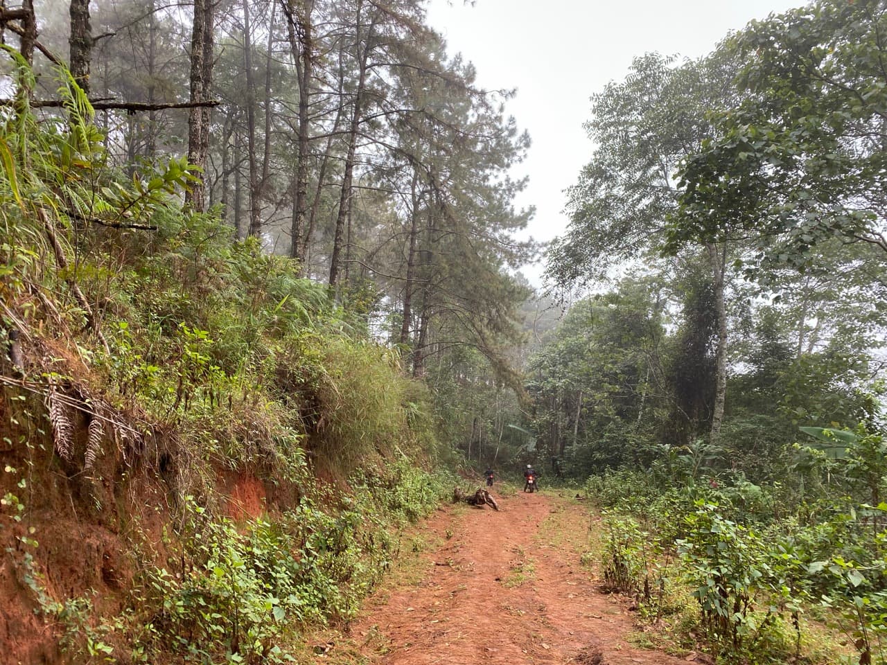 The Jesus Trail