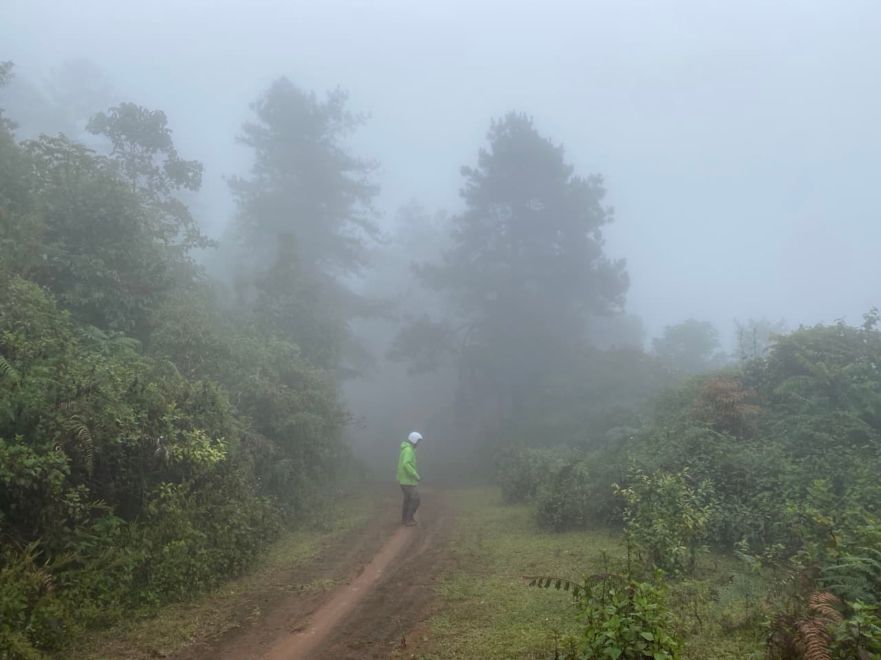 The Jesus Trail