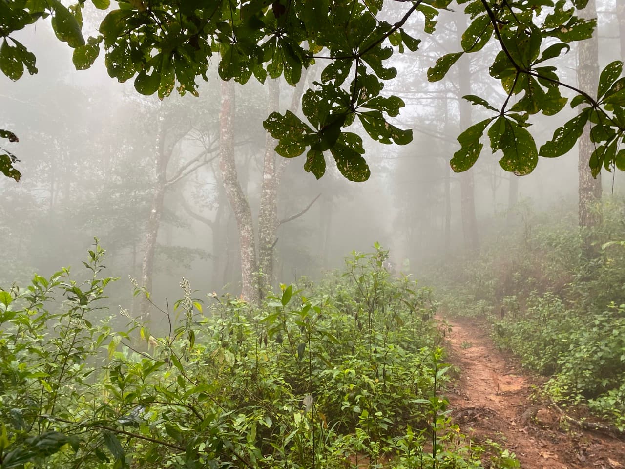 The Jesus Trail