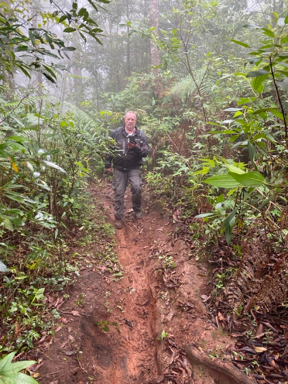 The Jesus Trail