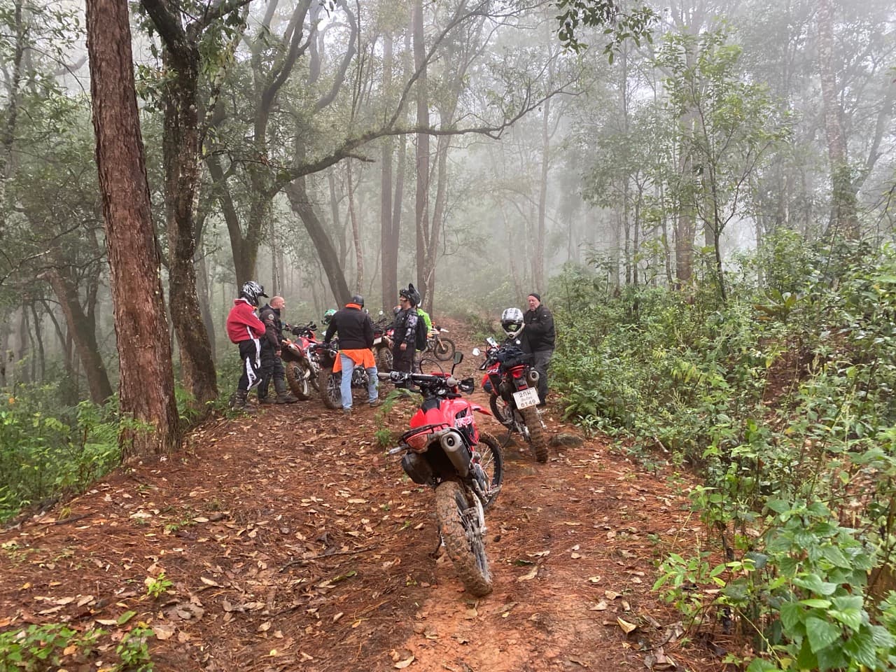 The Jesus Trail