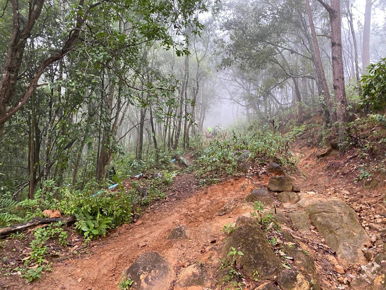 The Jesus Trail