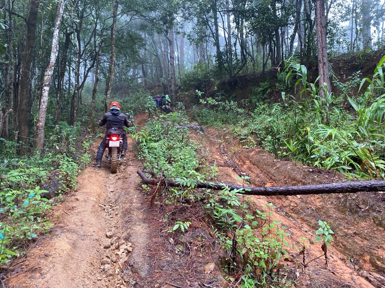 The Jesus Trail