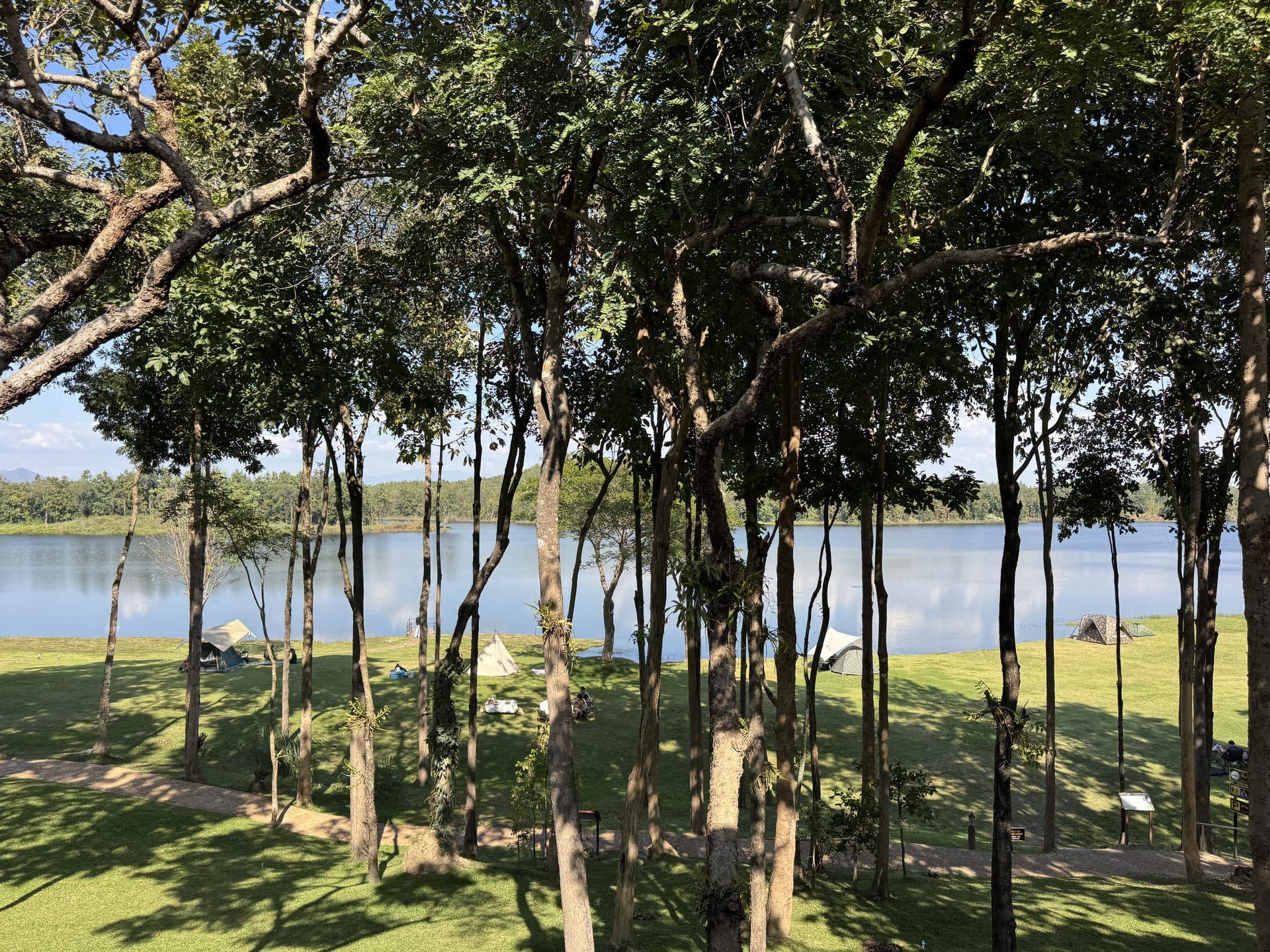 Bamboo Creek and the Butterfly Trail