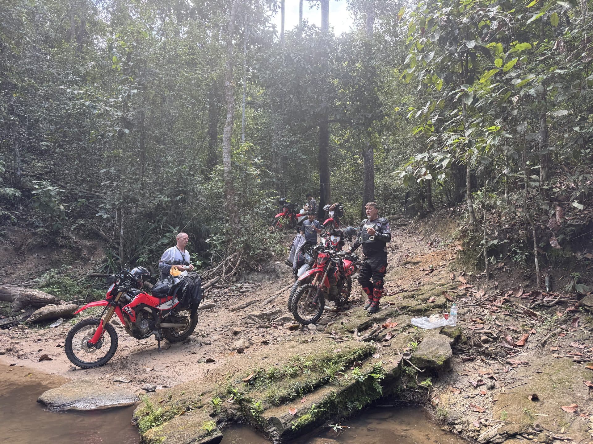 Bamboo Creek and the Butterfly Trail