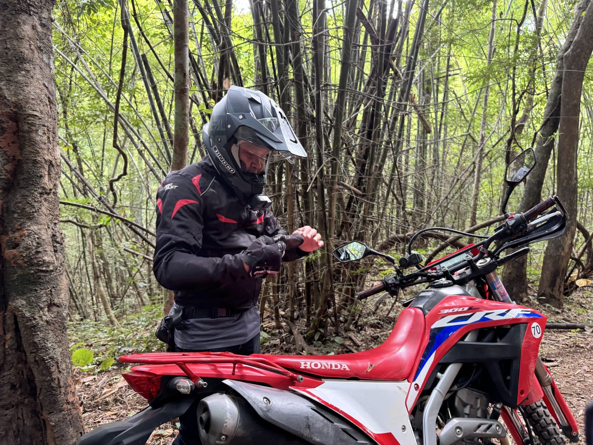Bamboo Creek and the Butterfly Trail