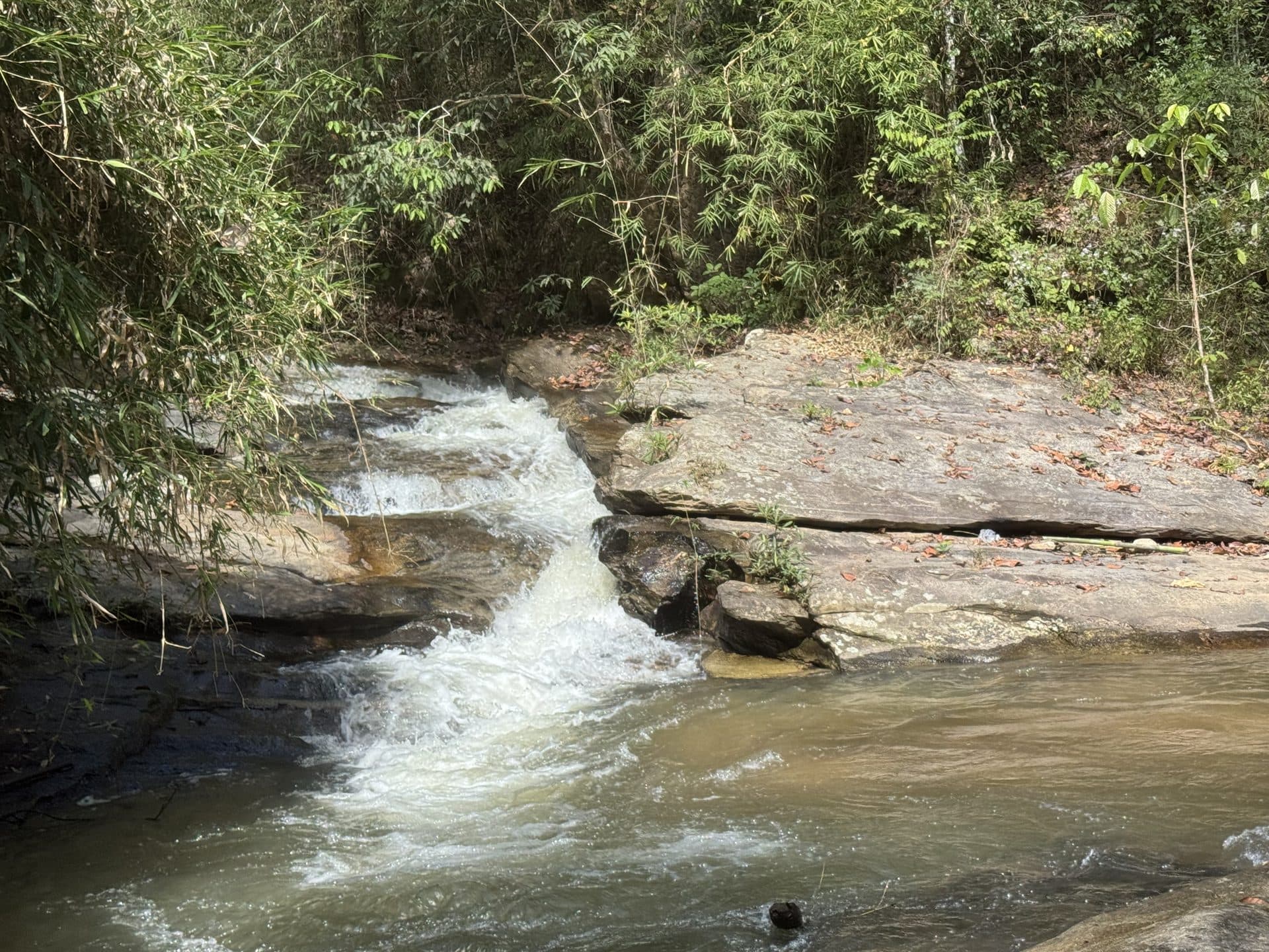 Bamboo Creek and the Butterfly Trail
