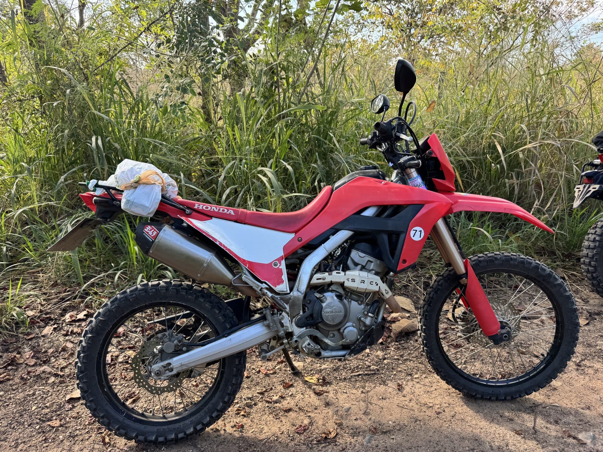 Bamboo Creek and the Butterfly Trail
