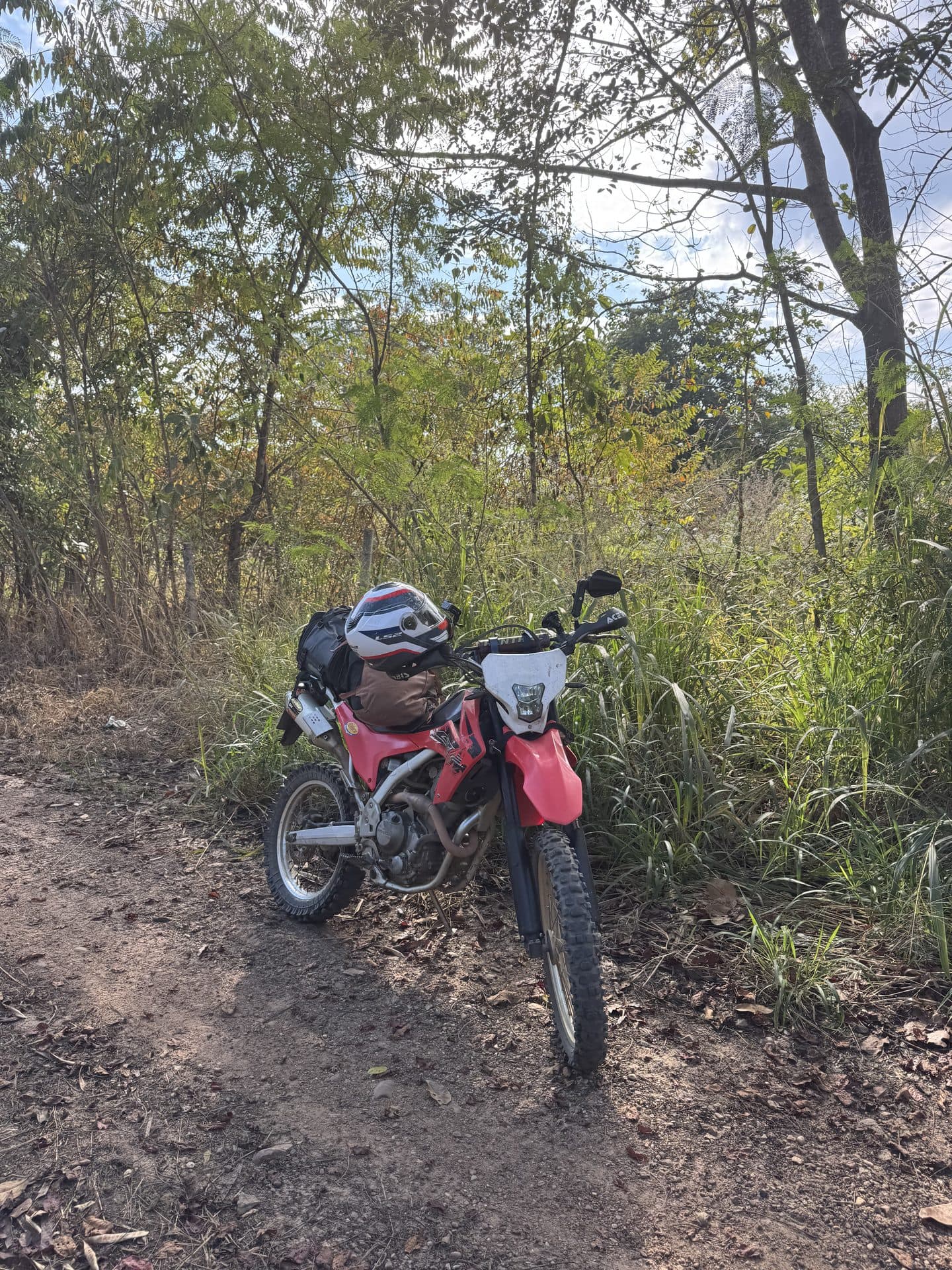 Bamboo Creek and the Butterfly Trail