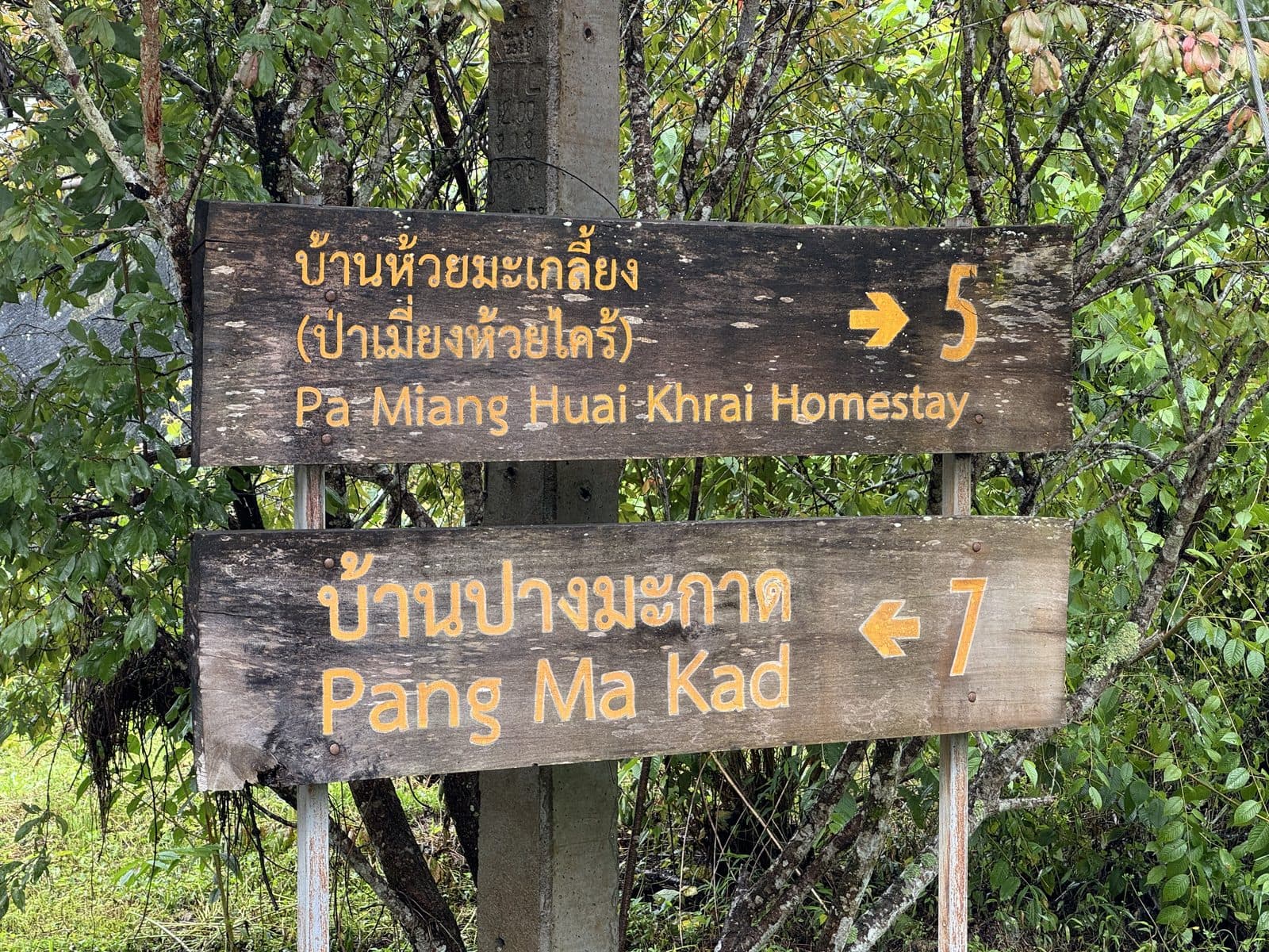 The Phrao Loop