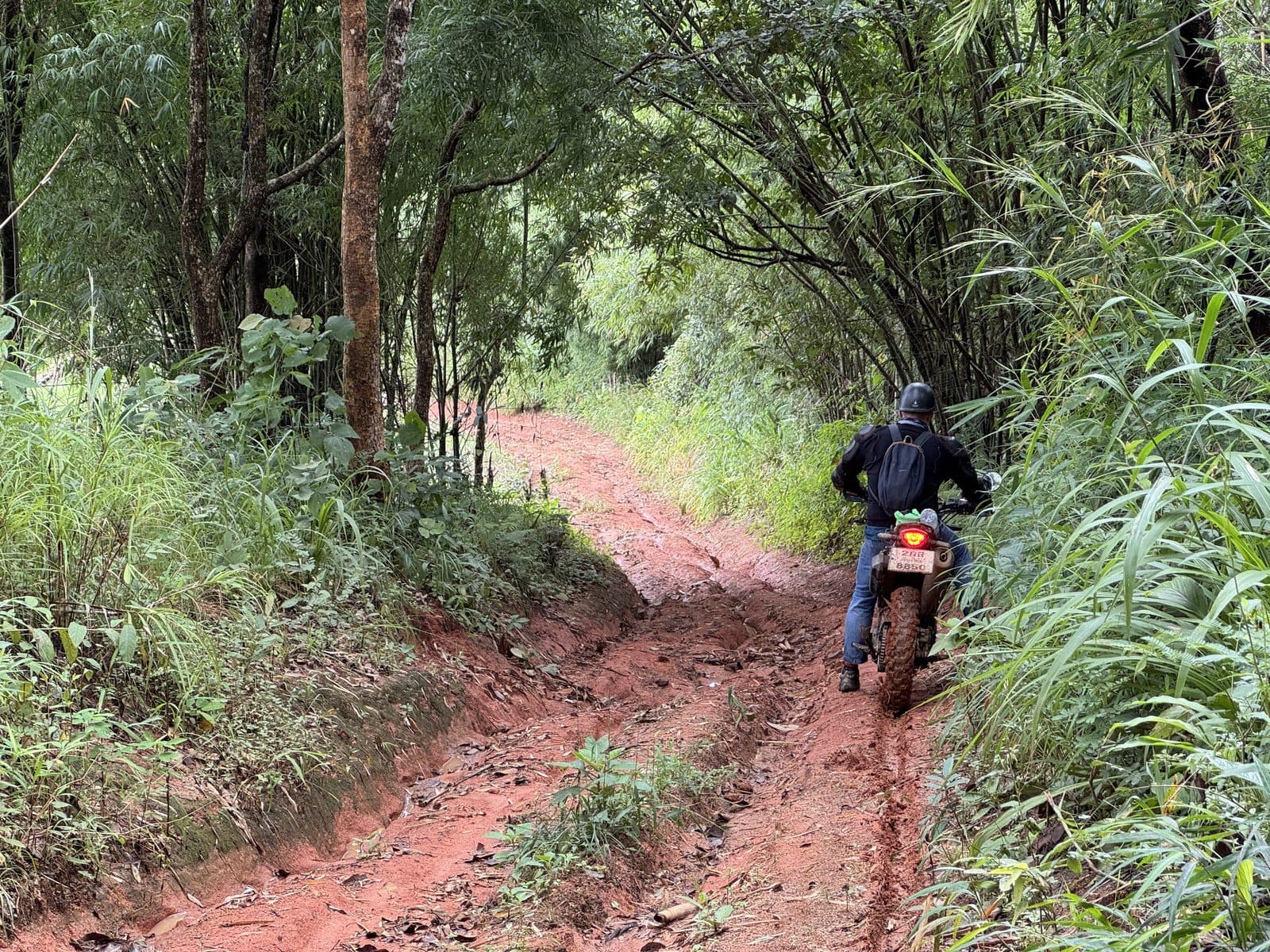 The Phrao Loop