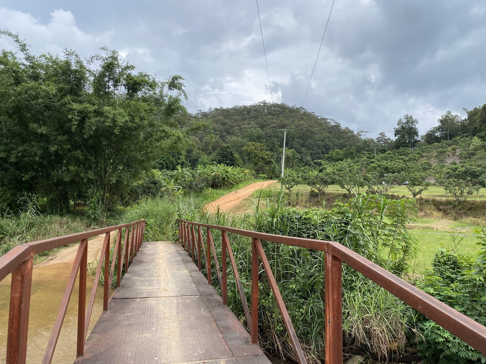 The Phrao Loop