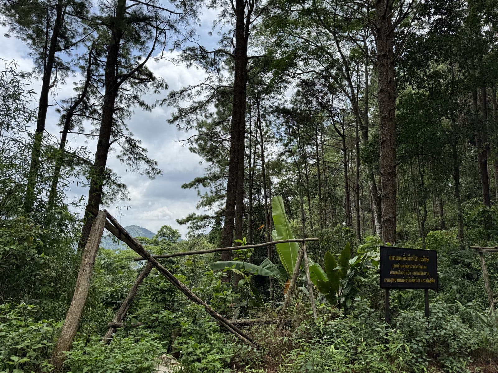 The Phrao Loop
