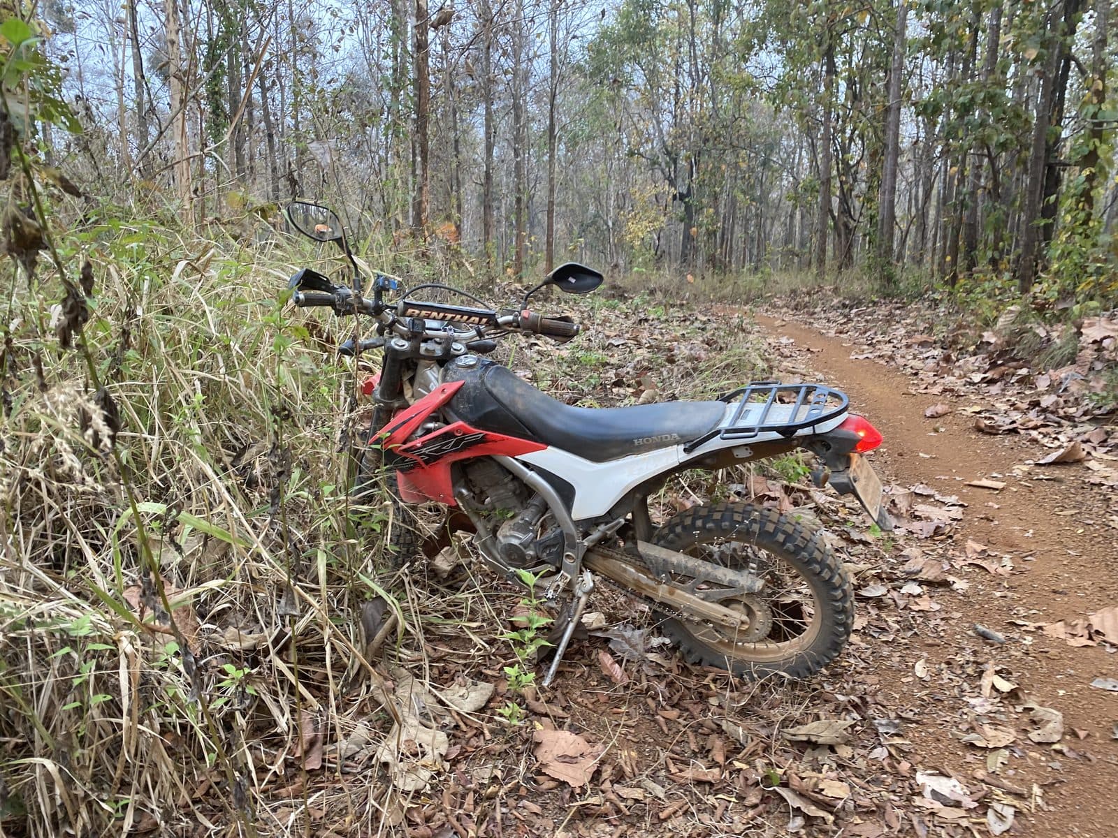 The Phrao Loop