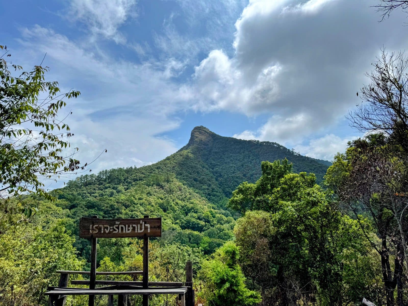 The Phrao Loop