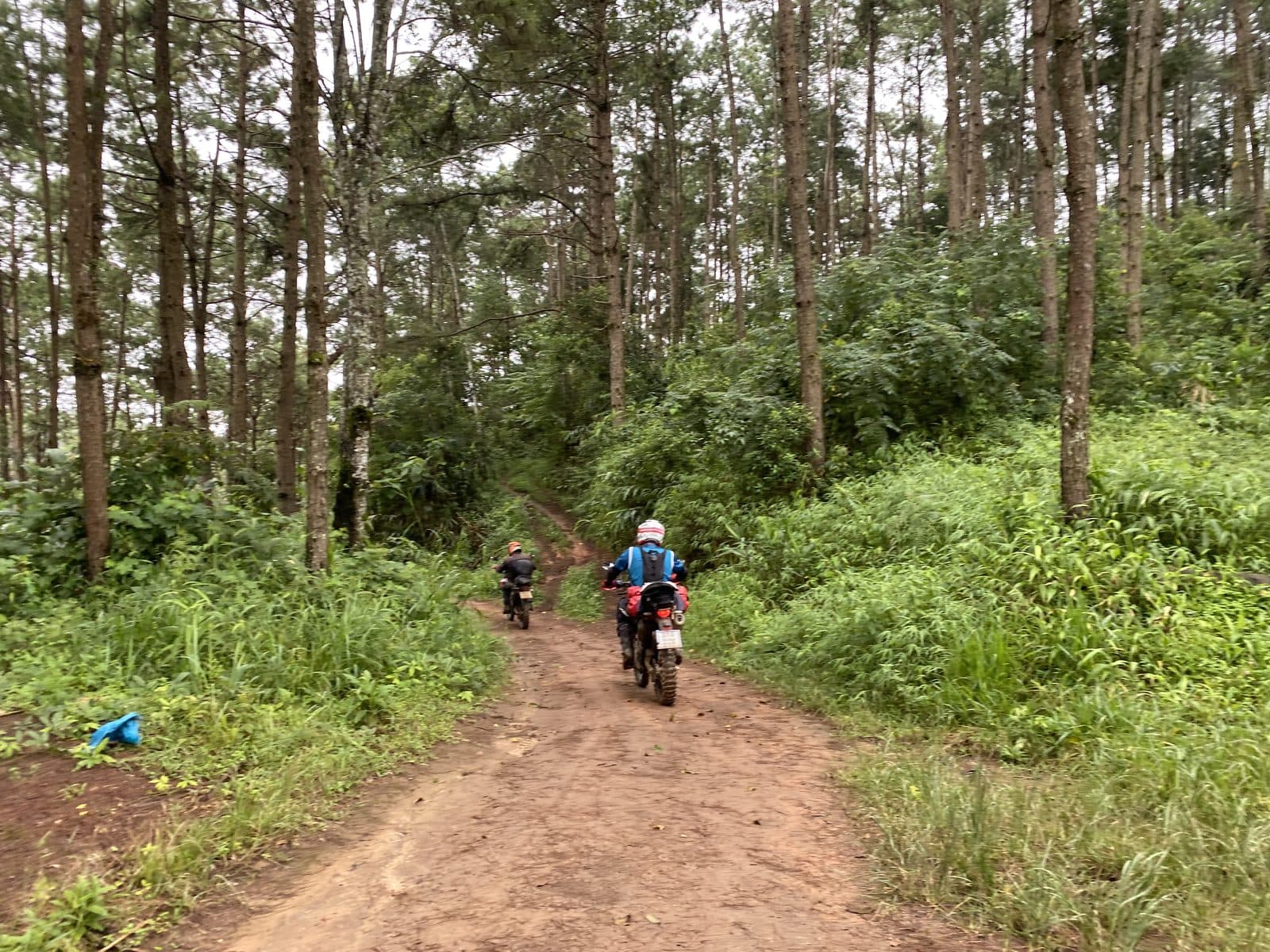The Phrao Loop