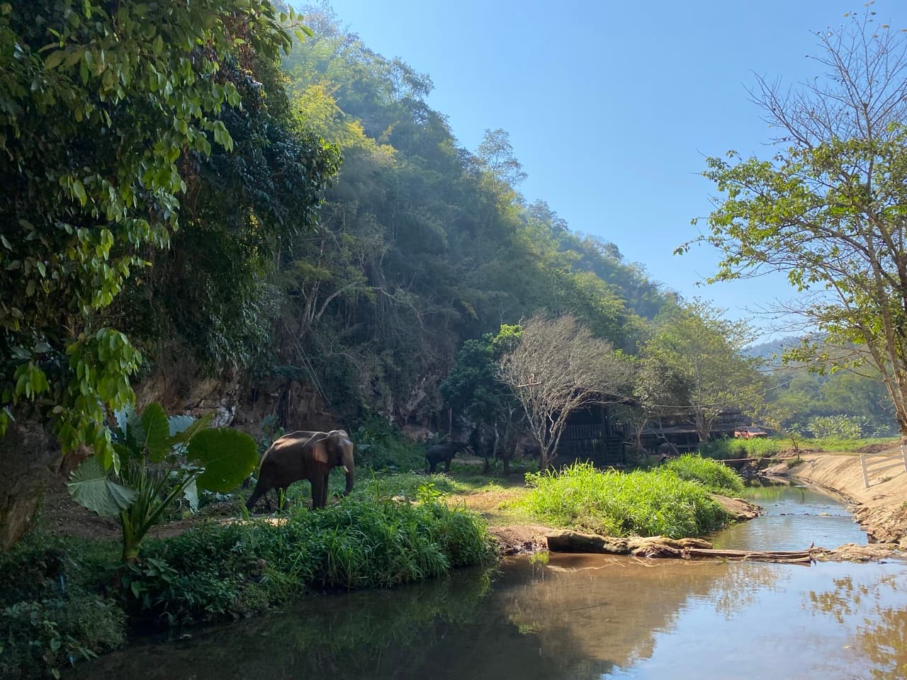 The Mae Khanin River Run