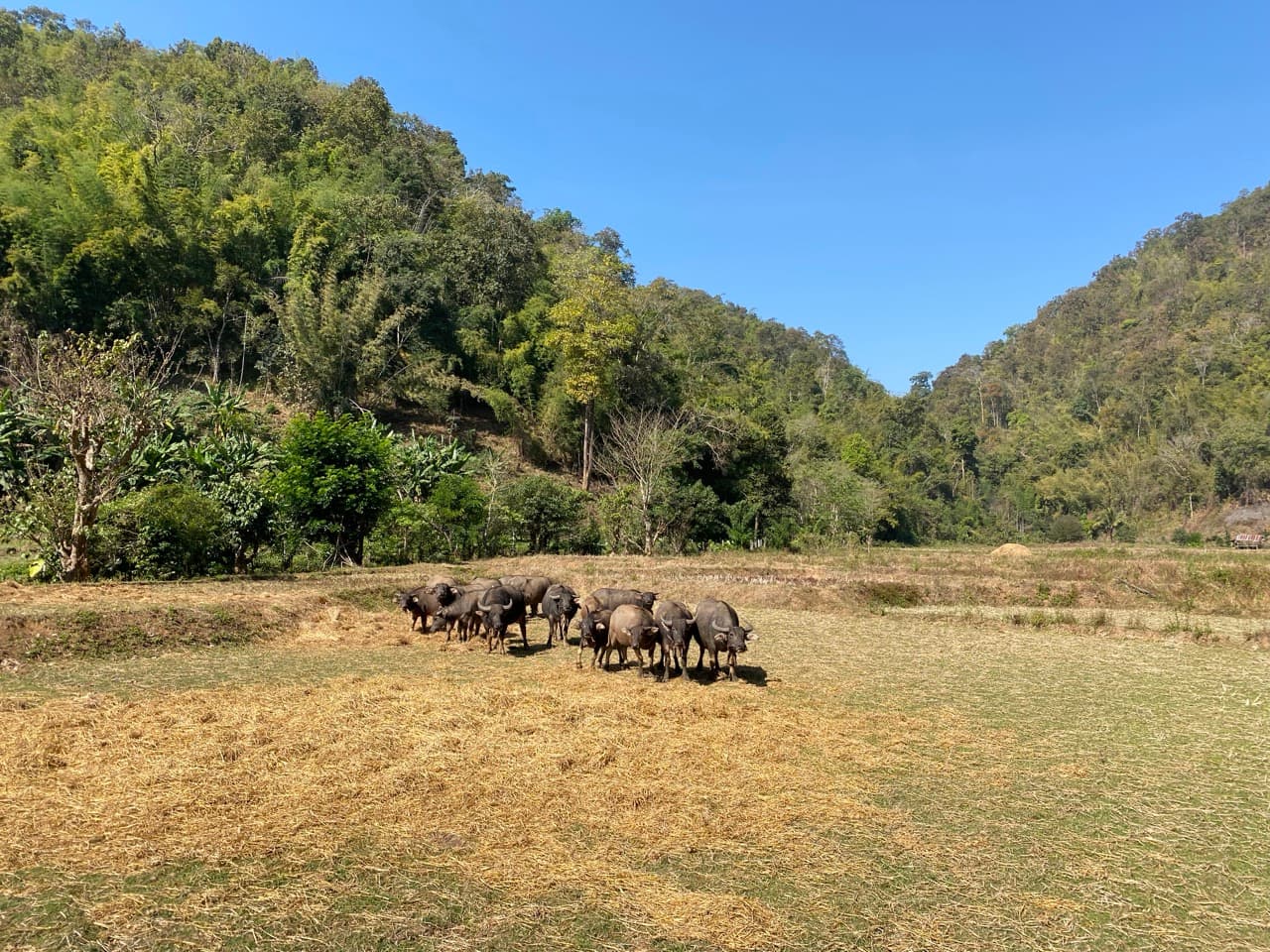 The Mae Khanin River Run