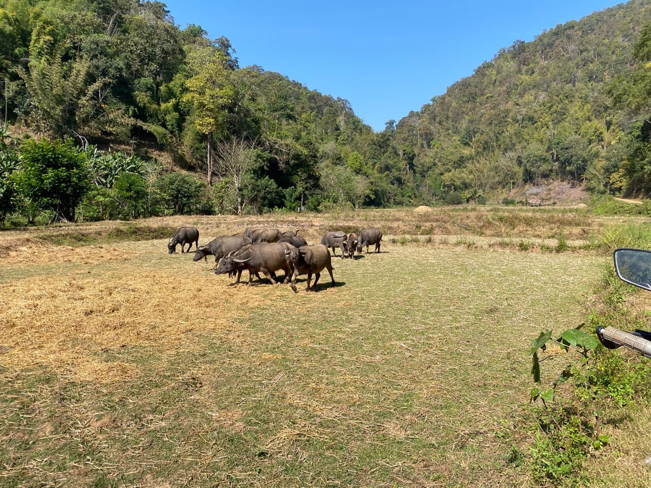 The Mae Khanin River Run