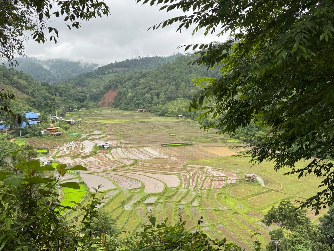Samoeng to Mae Win via Wat Chan — photo 33