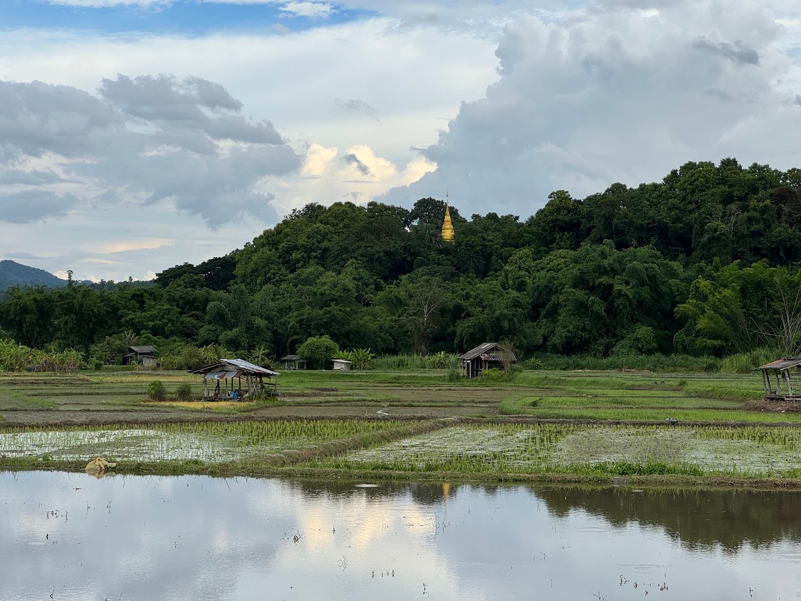 From Phayao to Ban Mae Ngio to Lampang — photo 26
