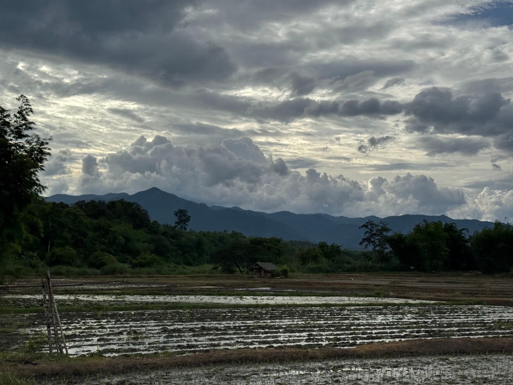 From Phayao to Ban Mae Ngio to Lampang — photo 27