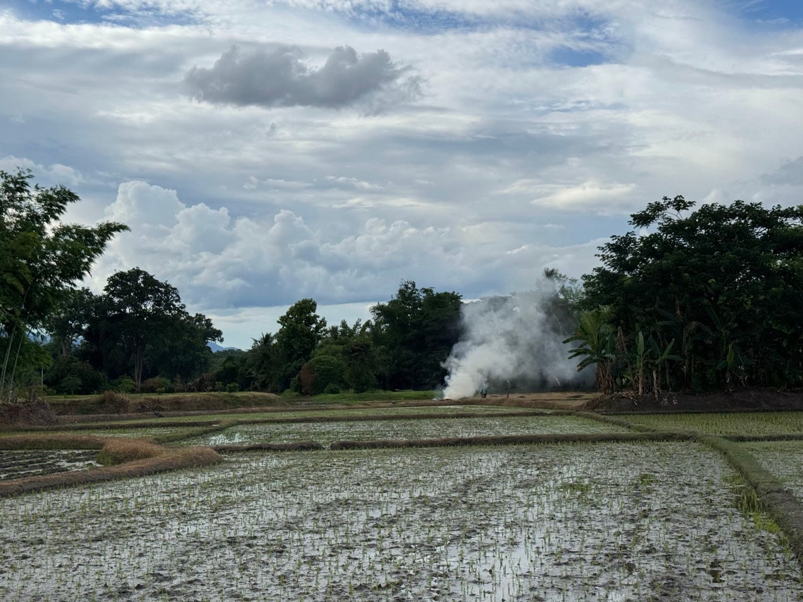 From Phayao to Ban Mae Ngio to Lampang — photo 28
