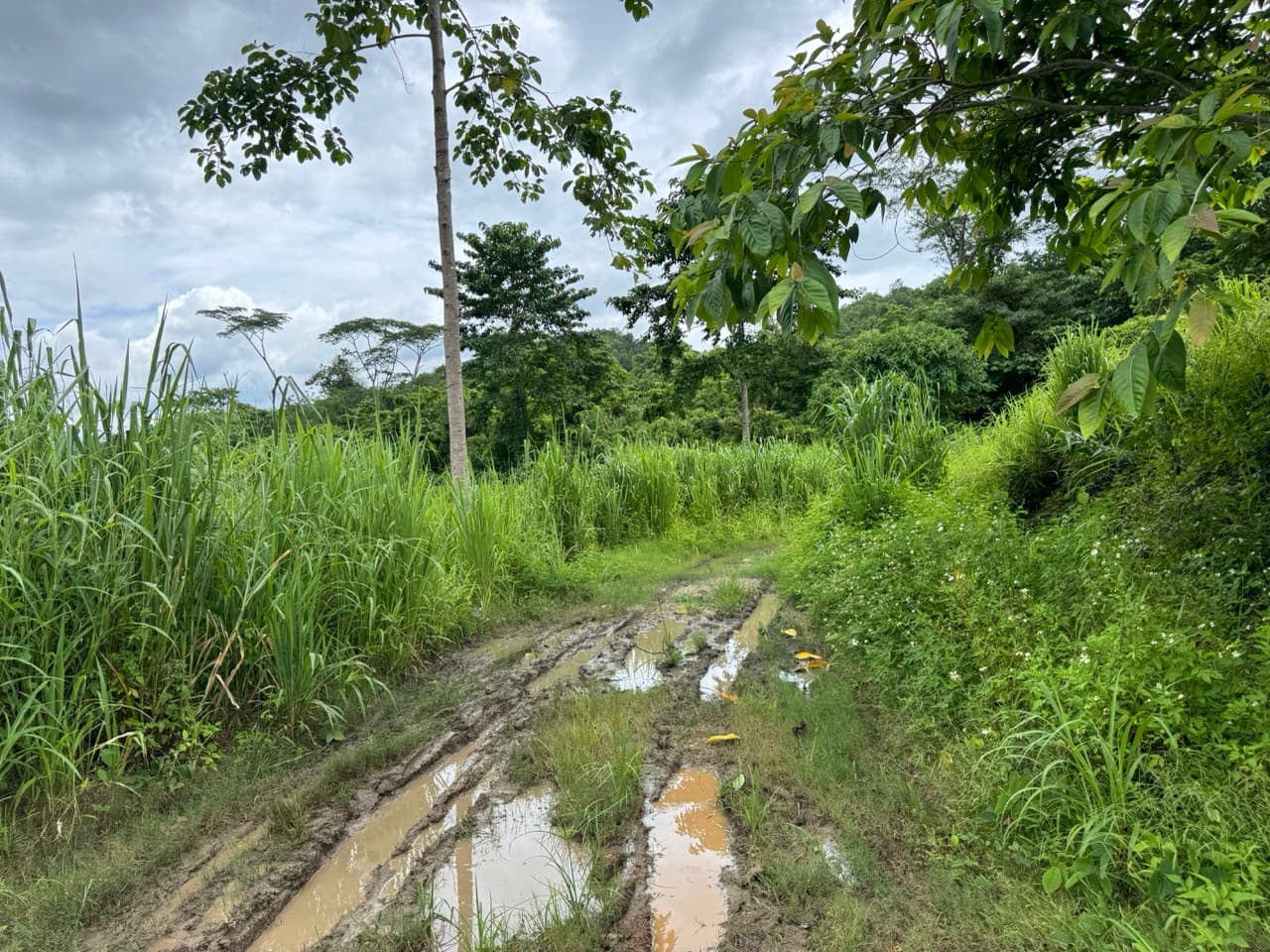 Samoeng to Mon Jam via Farm Roads — photo 30