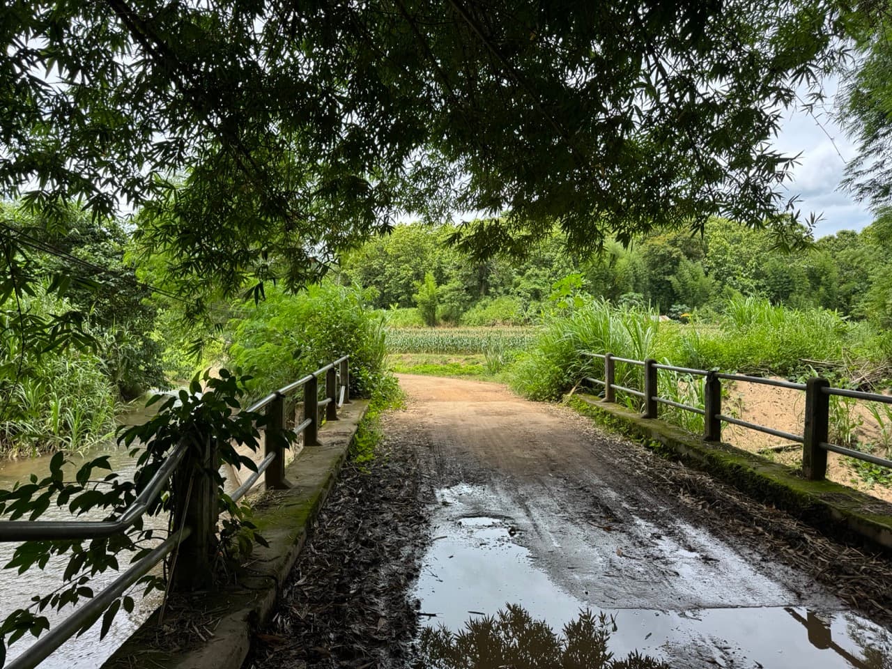 Samoeng to Mon Jam via Farm Roads — photo 31