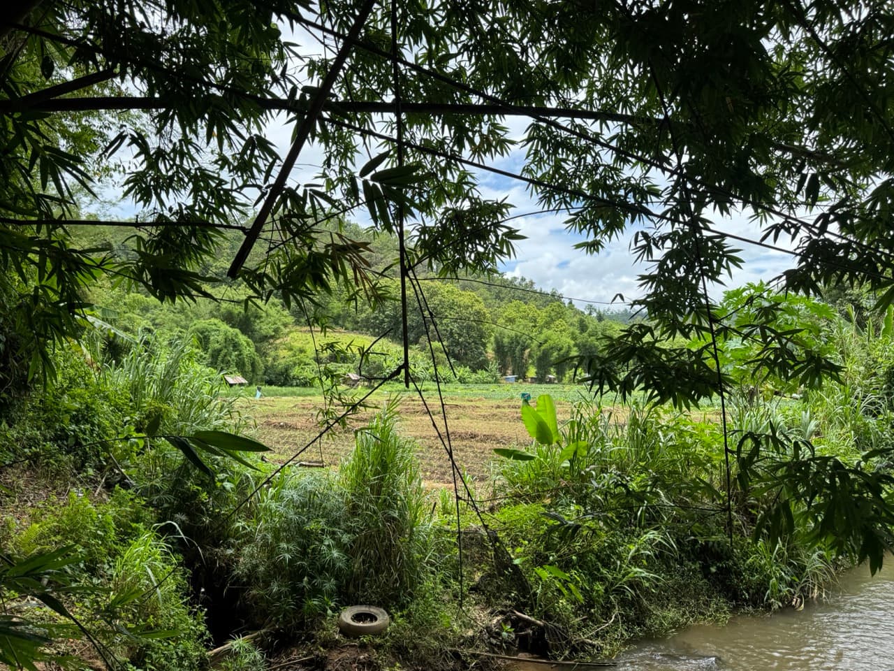 Samoeng to Mon Jam via Farm Roads — photo 32