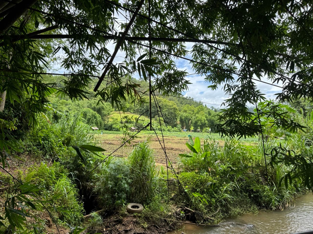 Samoeng to Mon Jam via Farm Roads — photo 33