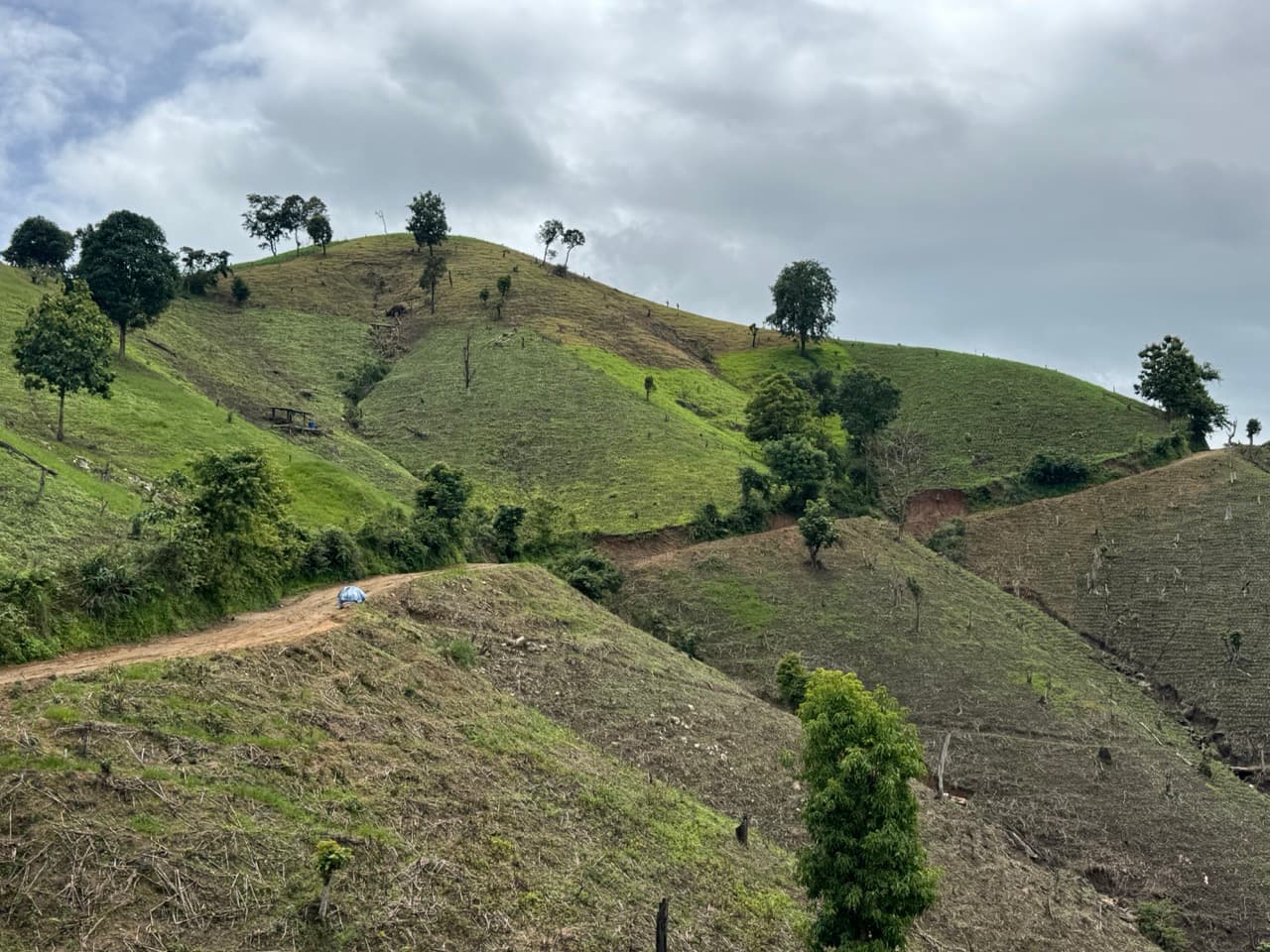 Mae Chaem Eastern Mud Fest — photo 32