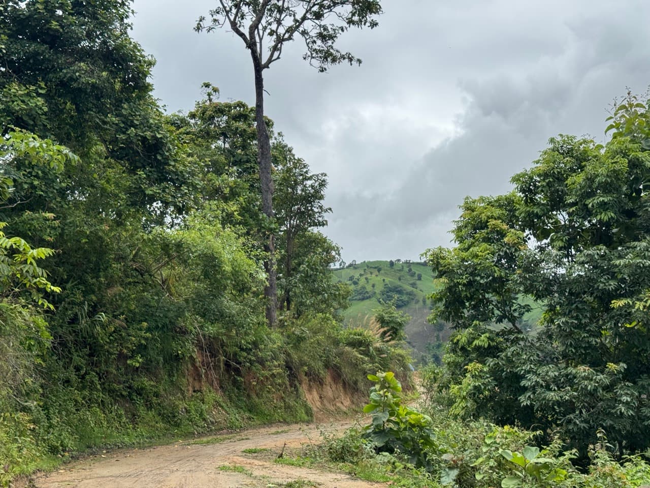 Mae Chaem Eastern Mud Fest — photo 34