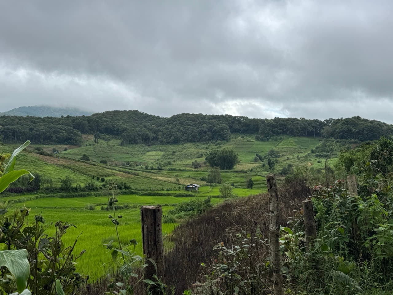 Chom Thong to Mae Chaem - The Short Route