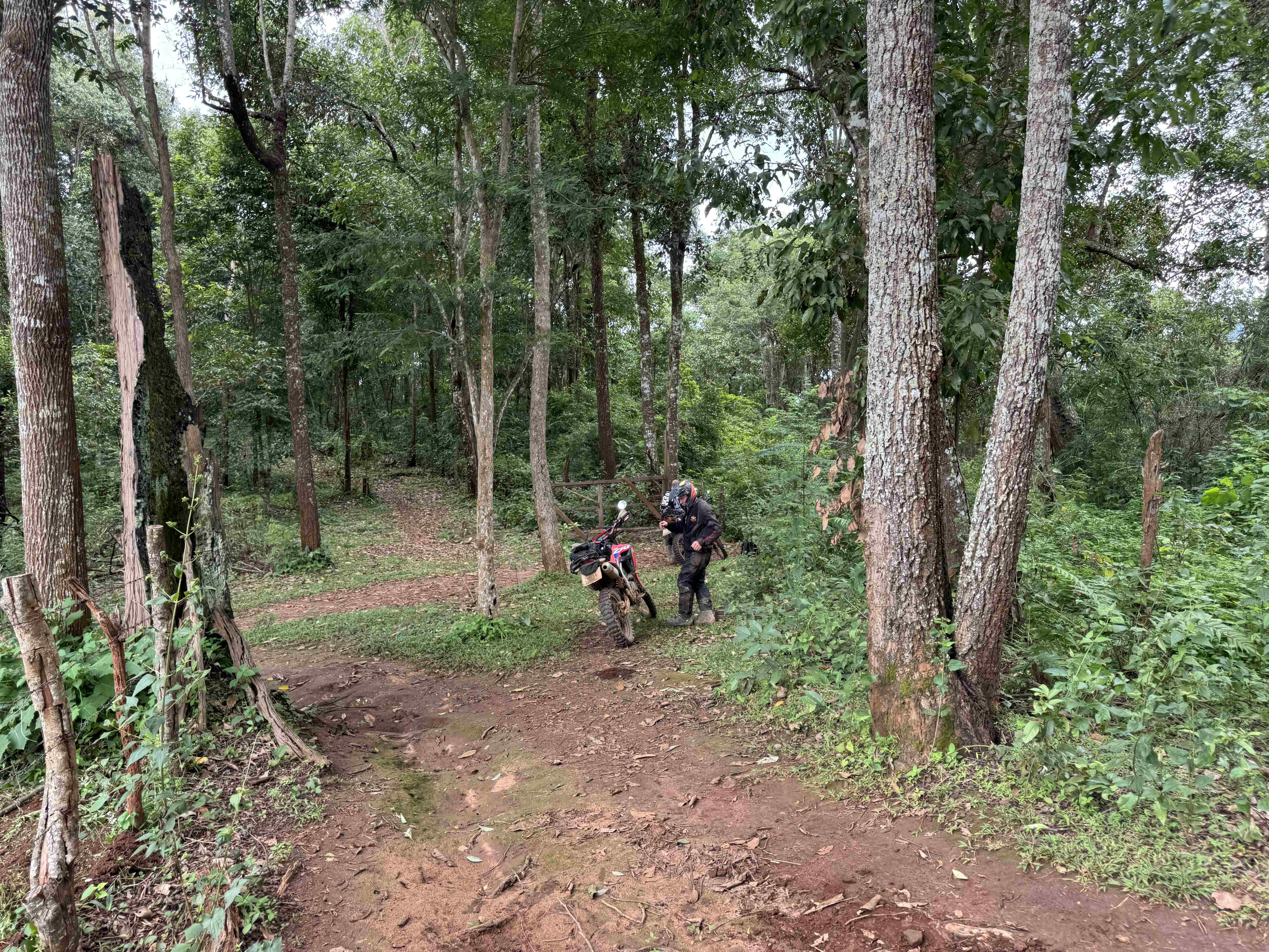 Baan Ngio to Baan Na Ku
