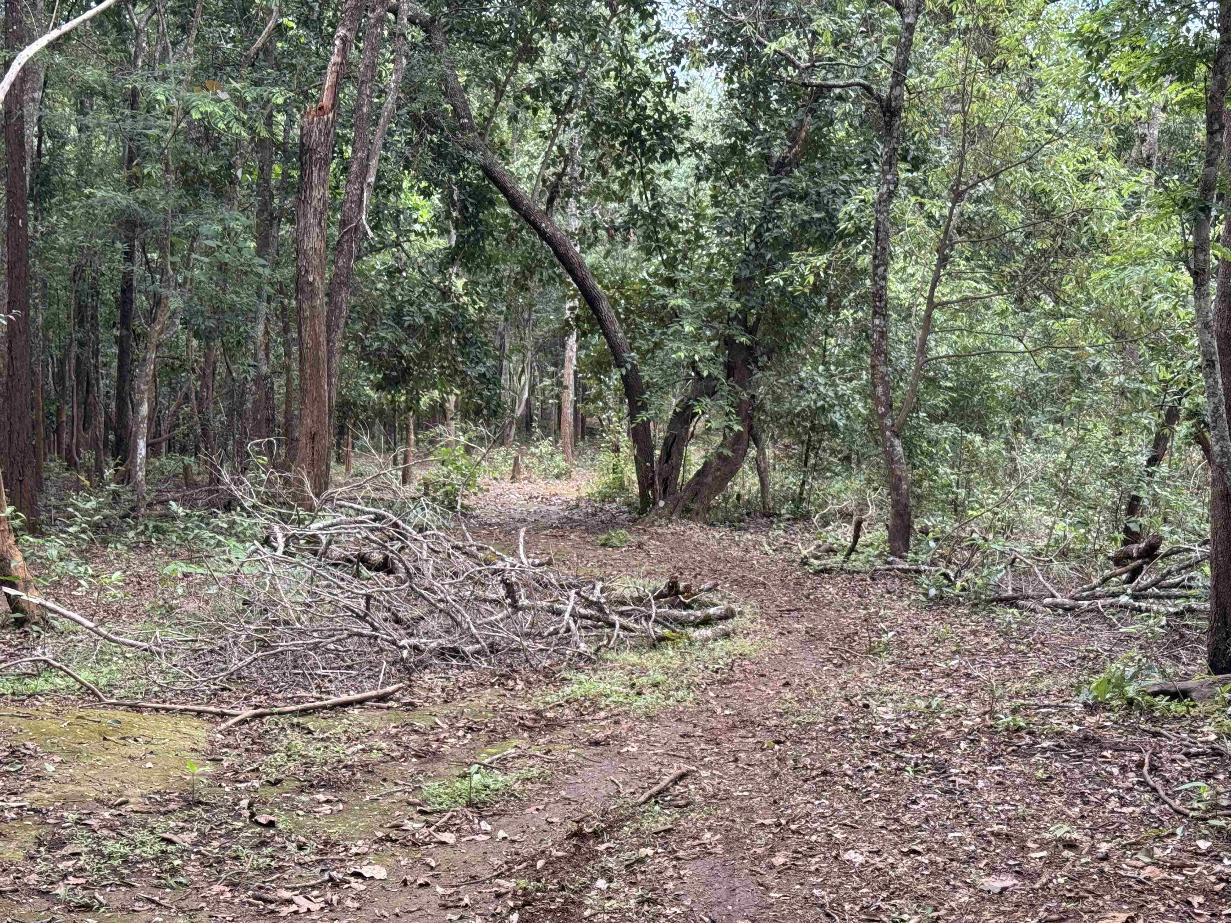 Baan Ngio to Baan Na Ku