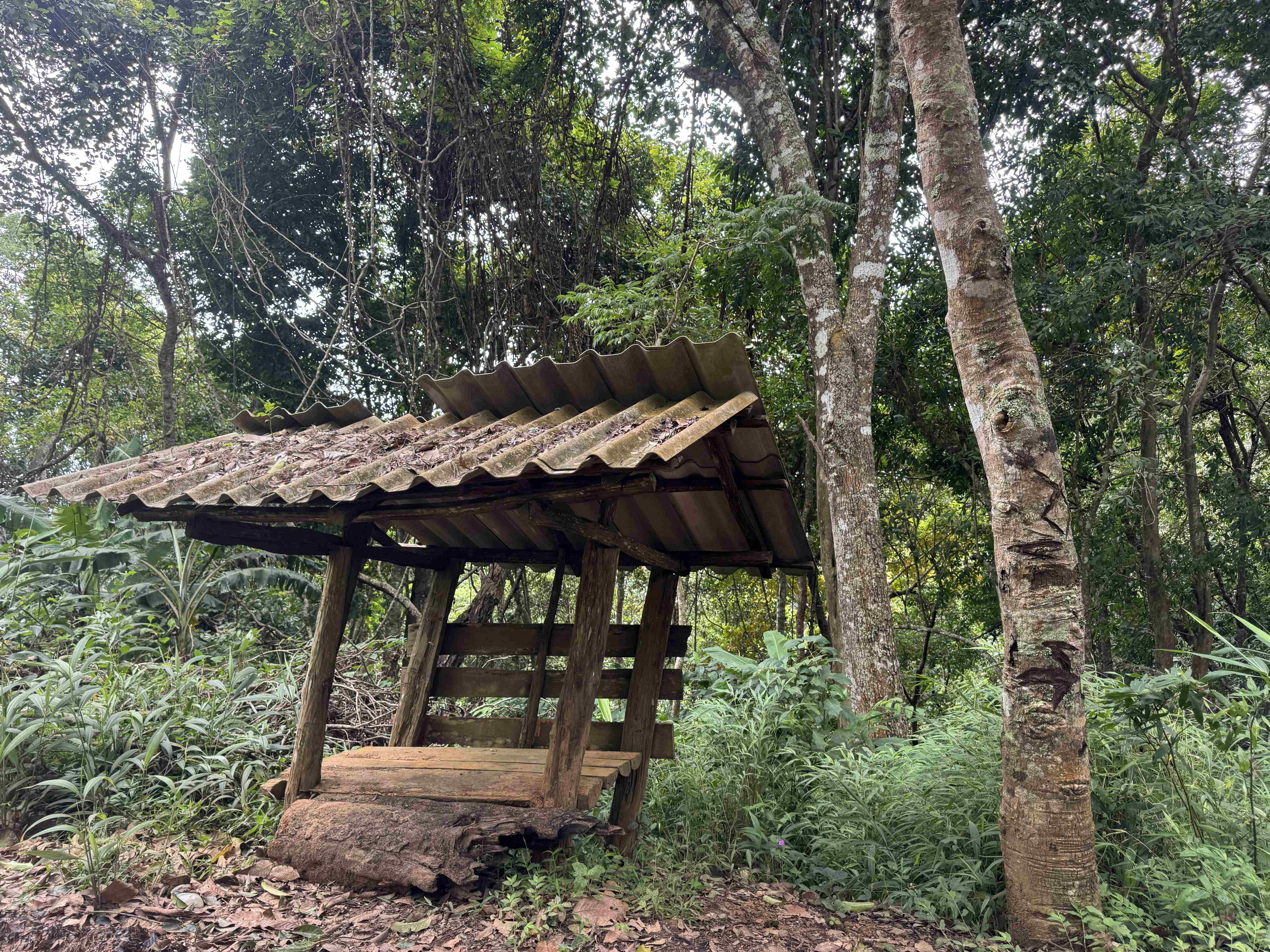 Baan Ngio to Baan Na Ku