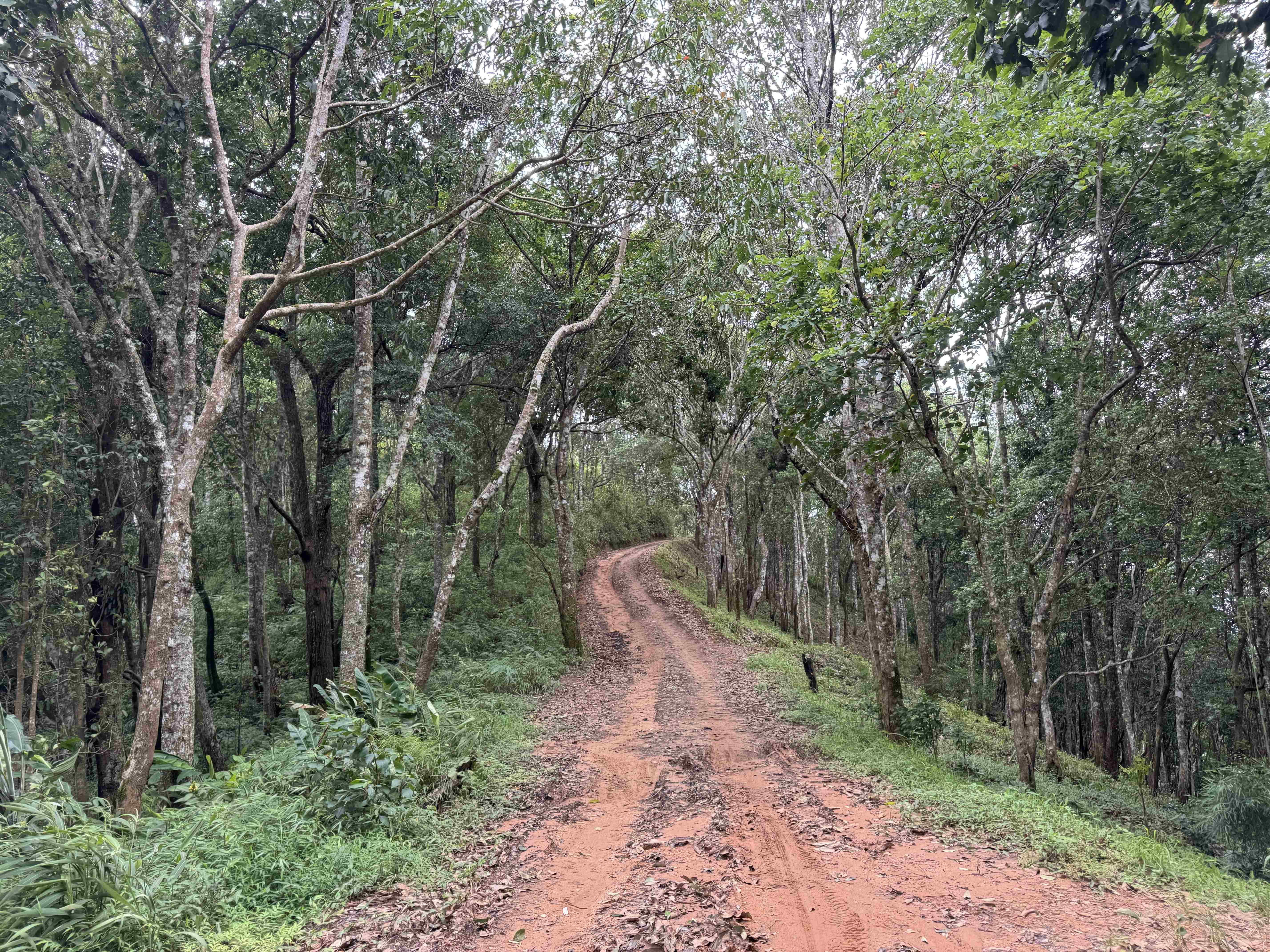 Baan Ngio to Baan Na Ku