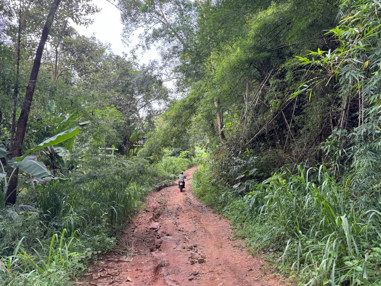 Chiang Dao Rocky Ridge to San Pak Kia — photo 22