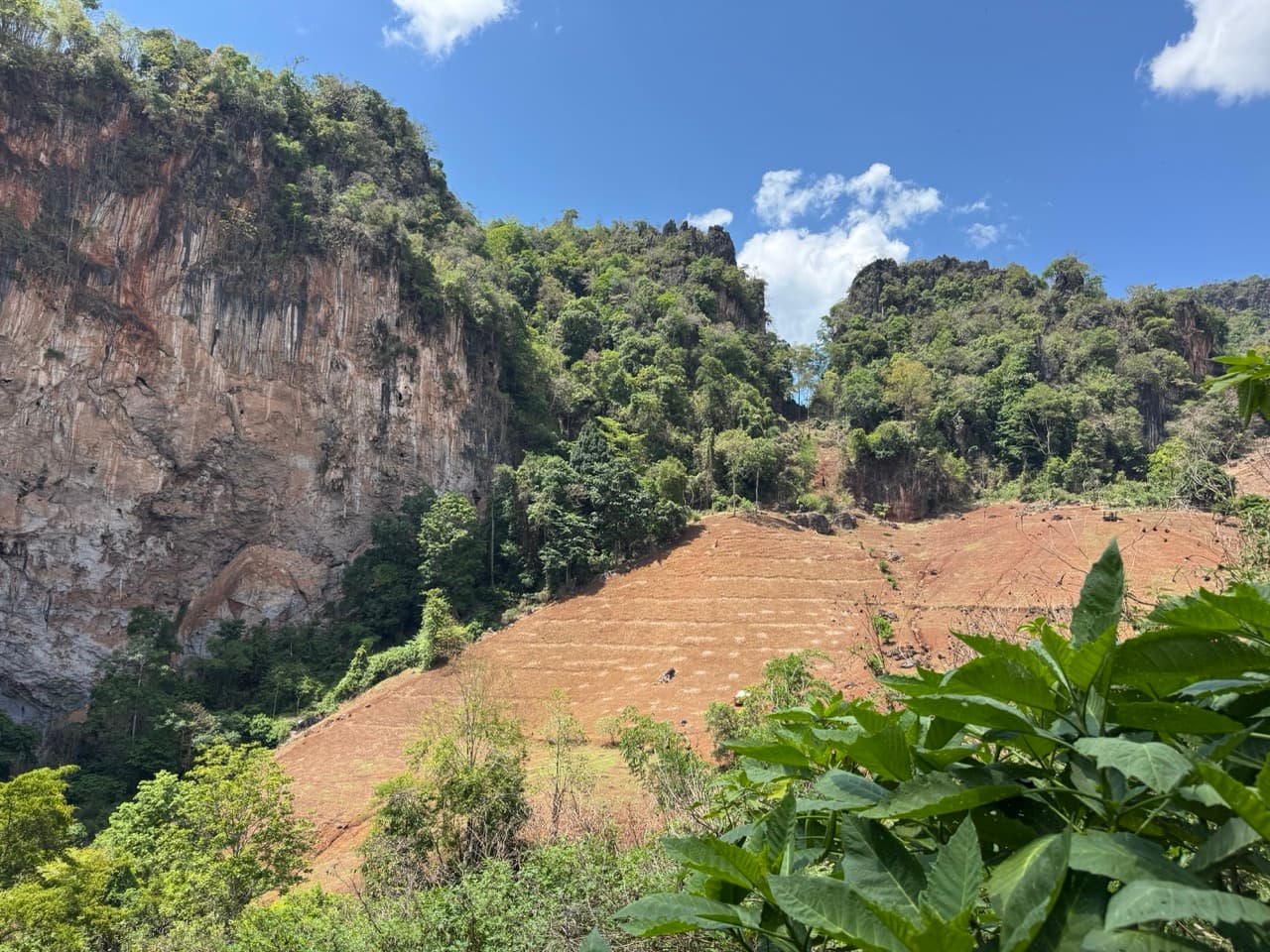 Pai Loop #5 — trail photo