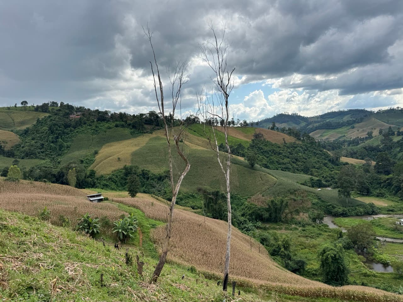 Pai Loop