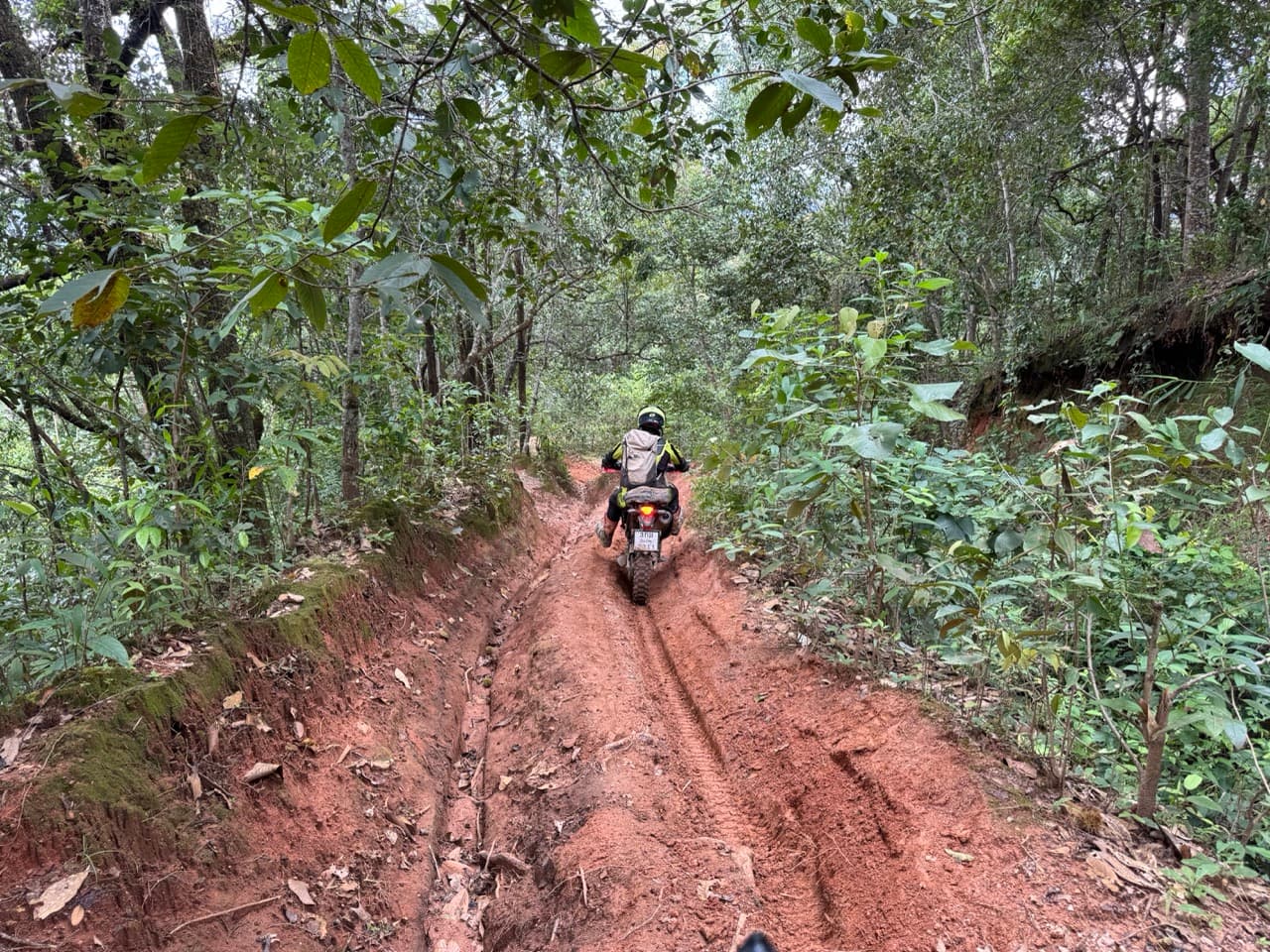 Pai Loop