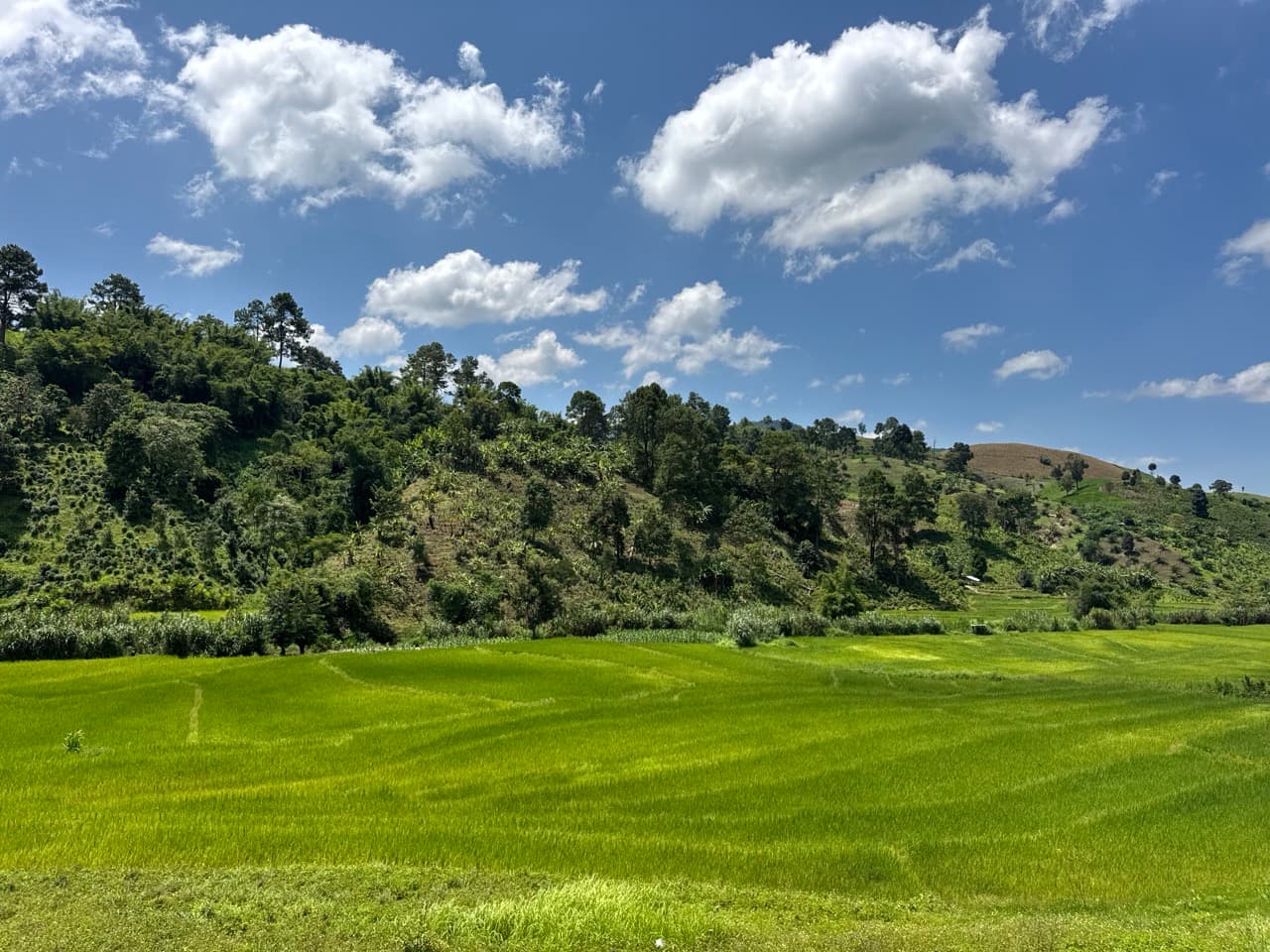 Doi Mae Salong Burma Border Ridgeline Ride
