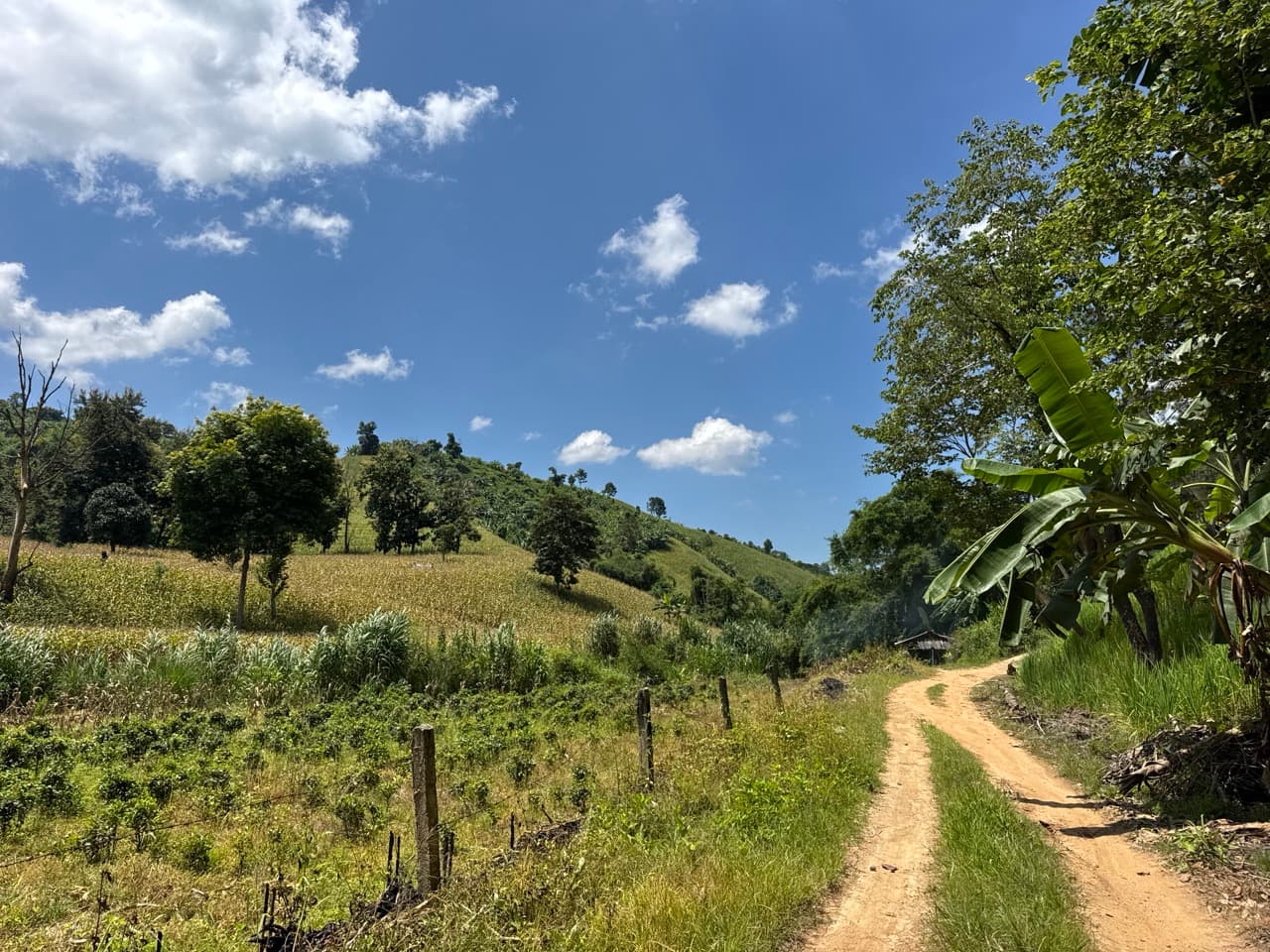 Doi Mae Salong Burma Border Ridgeline Ride