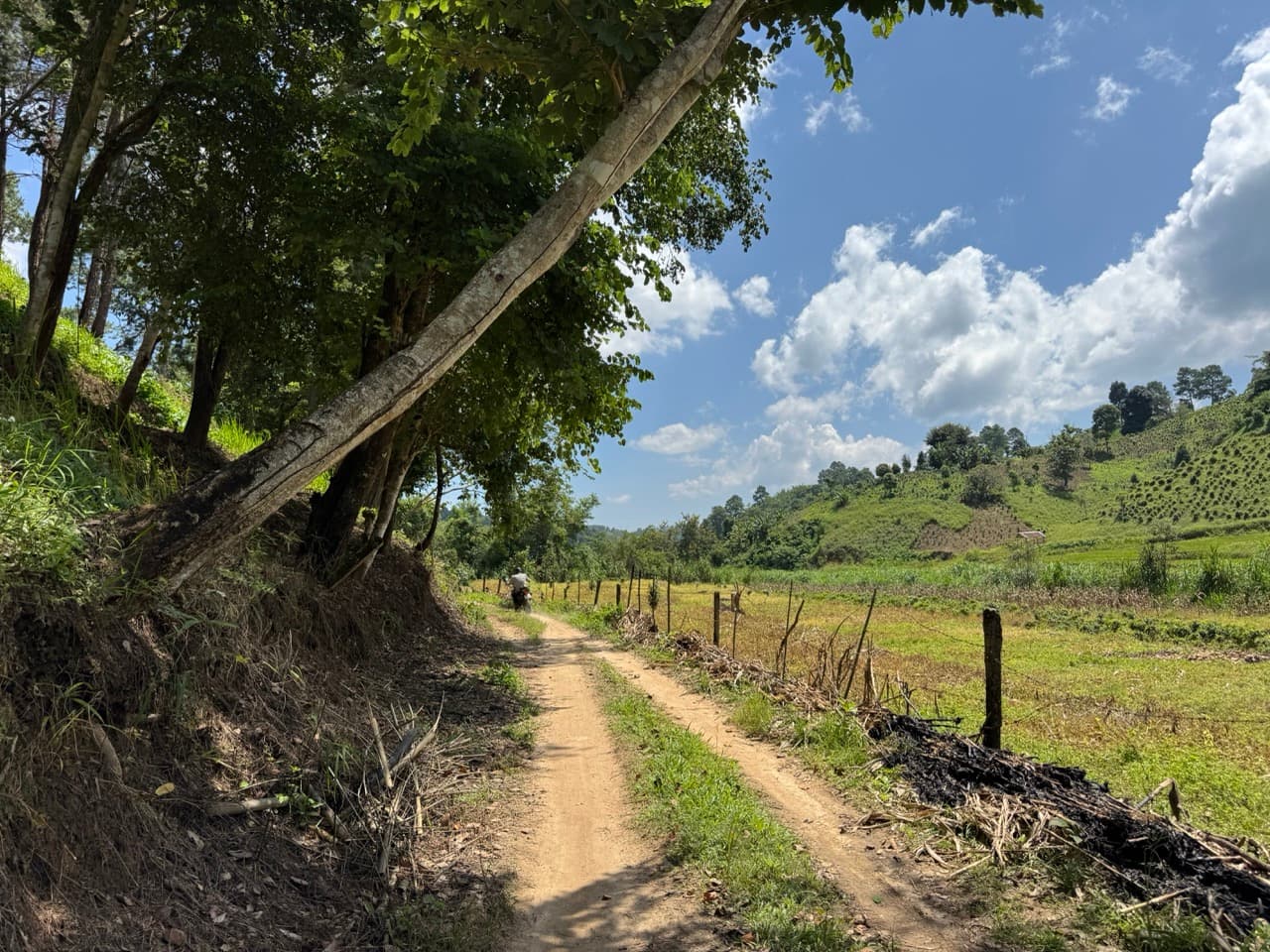 Doi Mae Salong Burma Border Ridgeline Ride