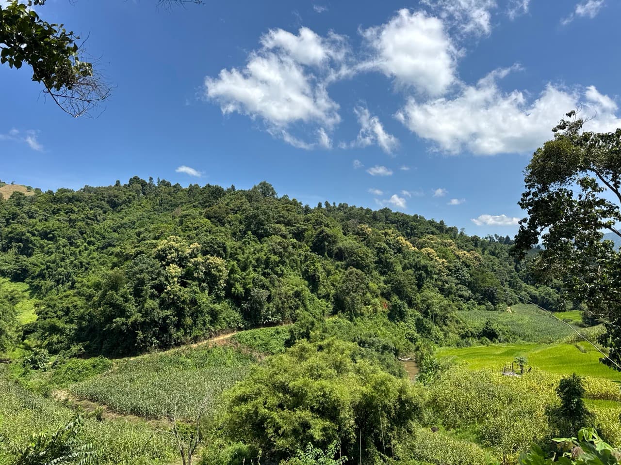 Doi Mae Salong Burma Border Ridgeline Ride