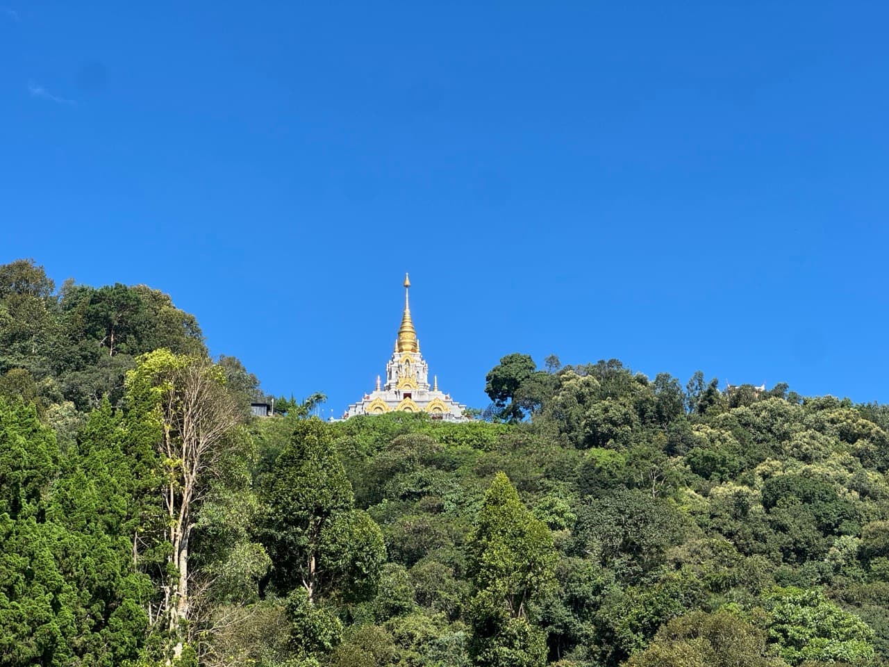 Doi Mae Salong Burma Border Ridgeline Ride — photo 36