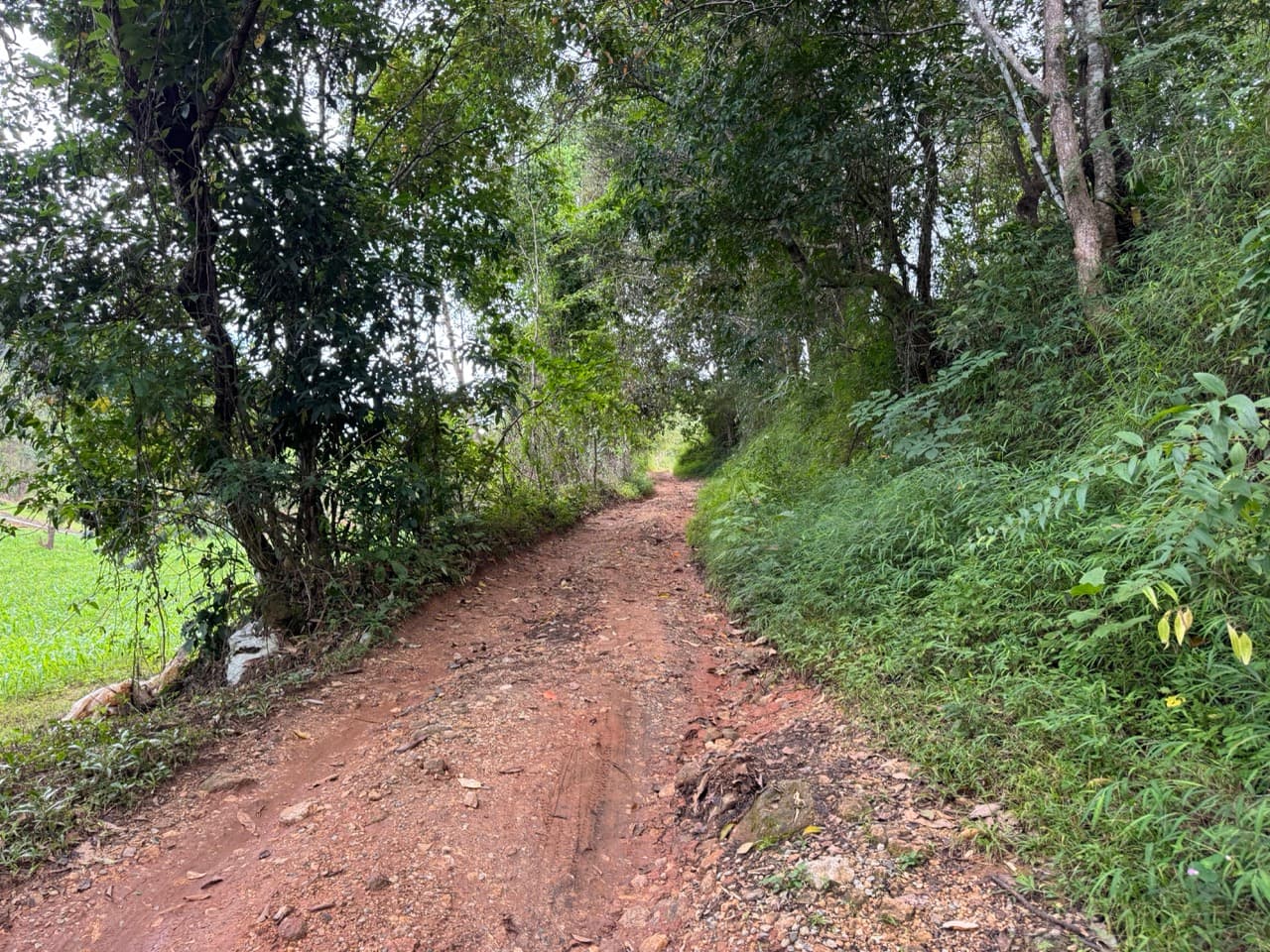 Samoeng to Mae Win Offroad — photo 18