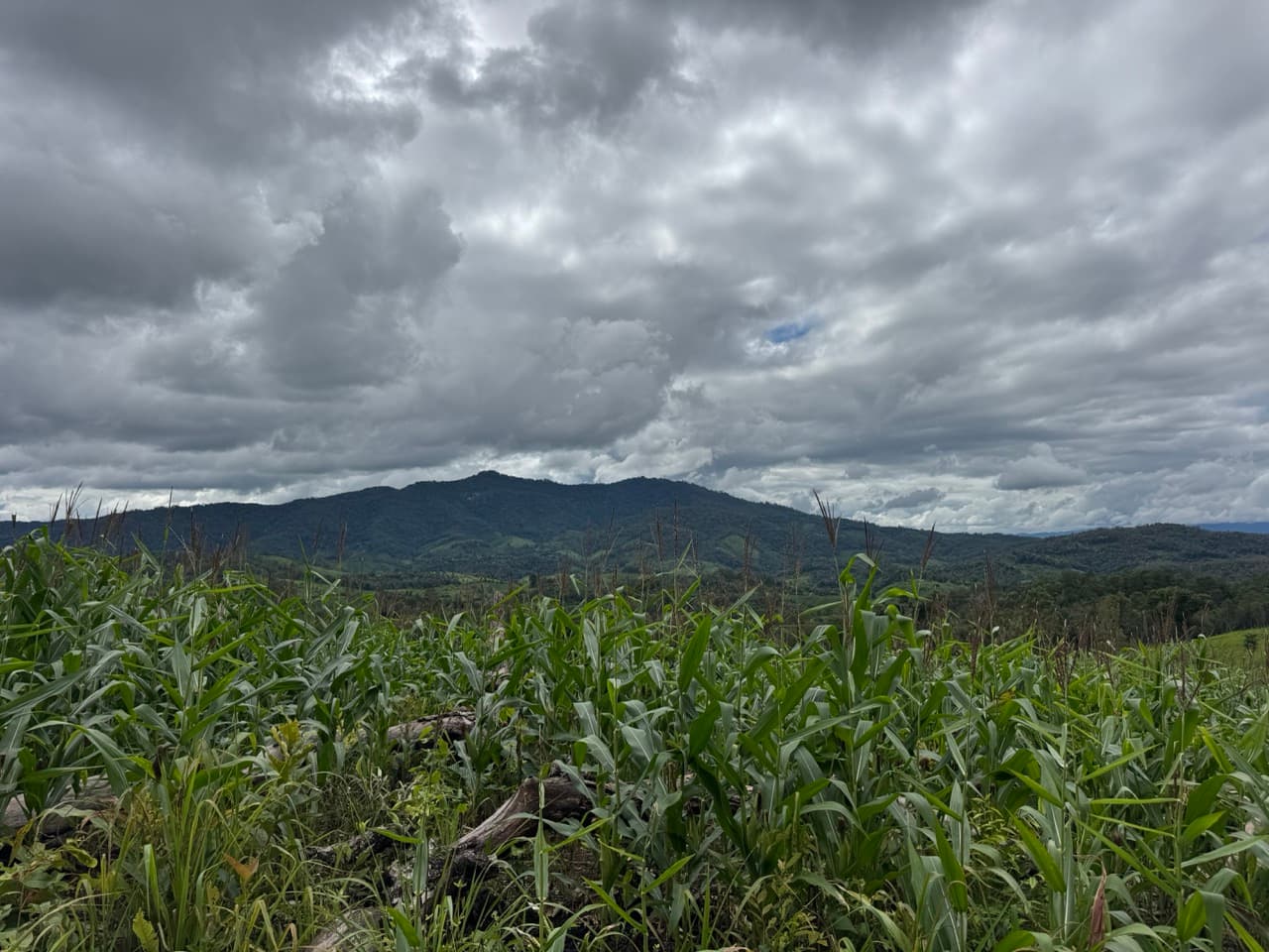 Samoeng to Mae Win Offroad — photo 25