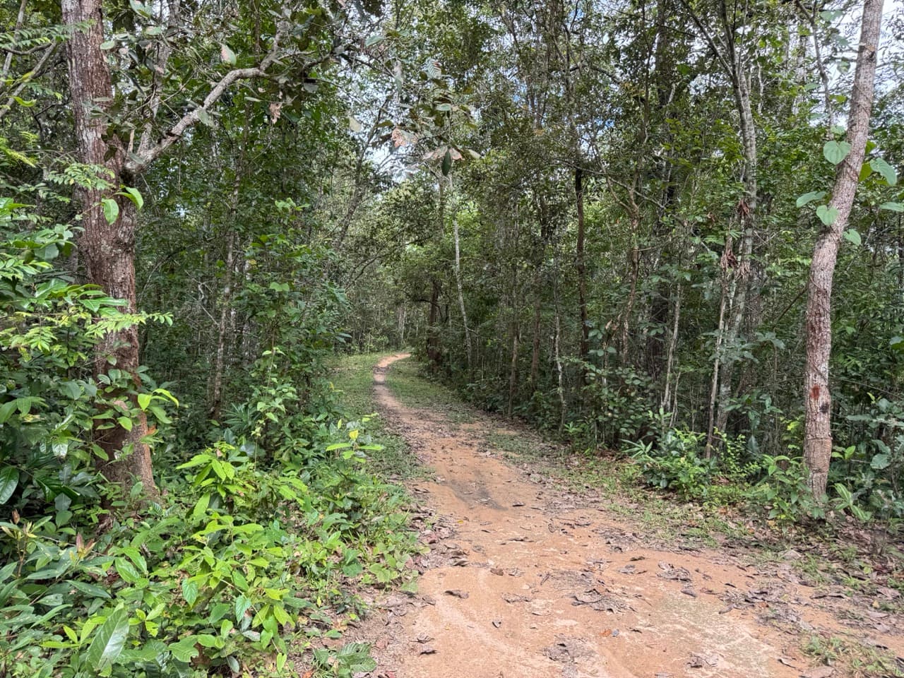 Samoeng to Mae Win Offroad — photo 29